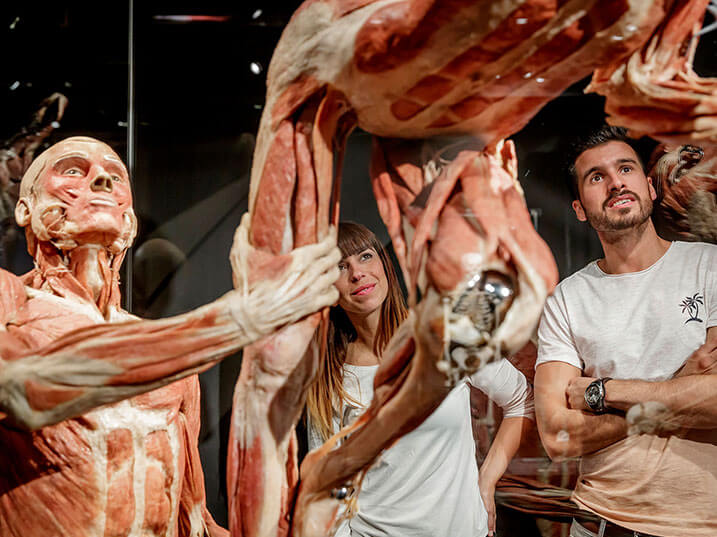 DH-Shop-BODY-WORLDS